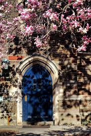 Photo submitted by Stephen Graham for Tiger Tales